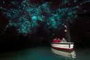 glowworm.webp